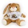 Peluche Coelho 23cm